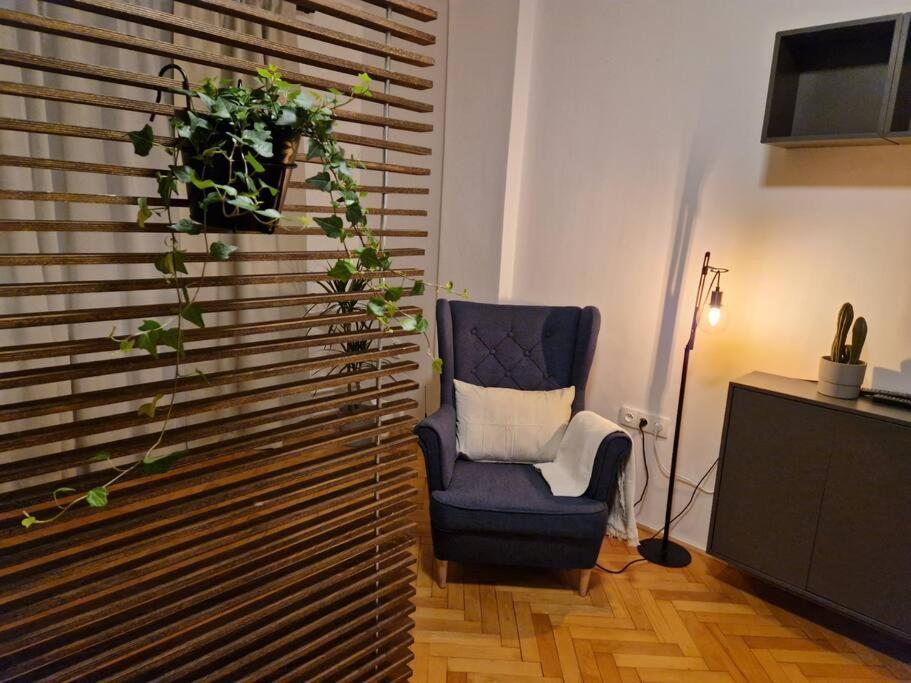 Pelclova Apartment 俄斯特拉发 外观 照片