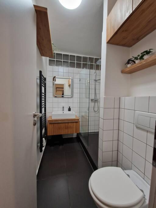 Pelclova Apartment 俄斯特拉发 外观 照片
